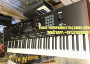 New Korg Pa5X 76 76-key Arranger eu