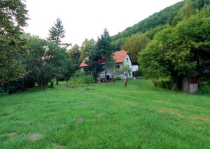Predám dom s lesom lúkou jazierkom a potokom