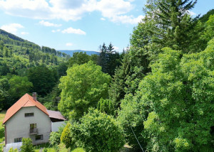 Dom na polo samote s veľkým pozemkom