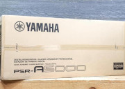 Yamaha PSR-A5000 61-Key Arranger Workstation Package